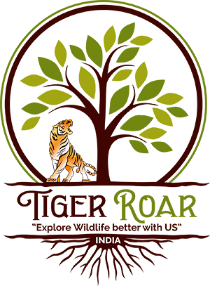 Tiger Roar Safaris India